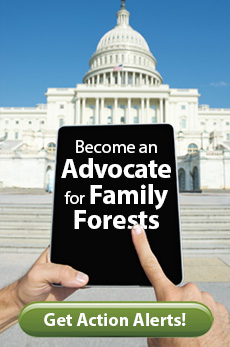 become a family forest advocate
