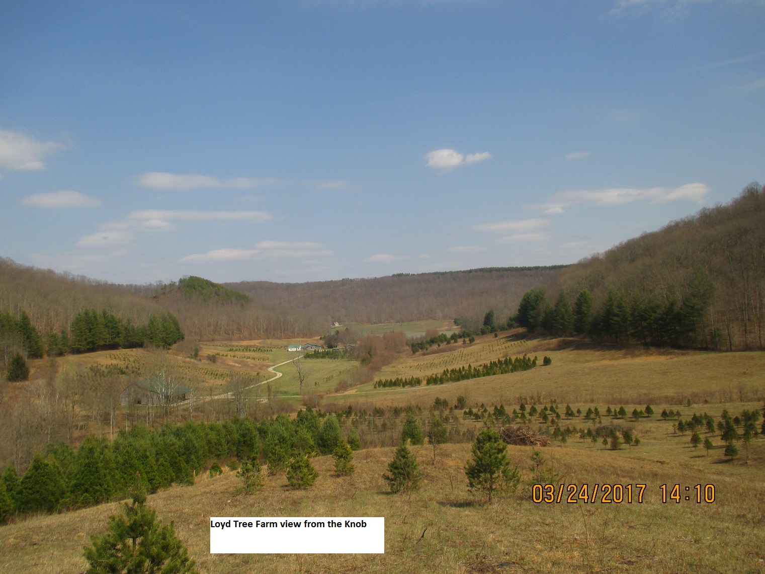 View of the Kentucky property