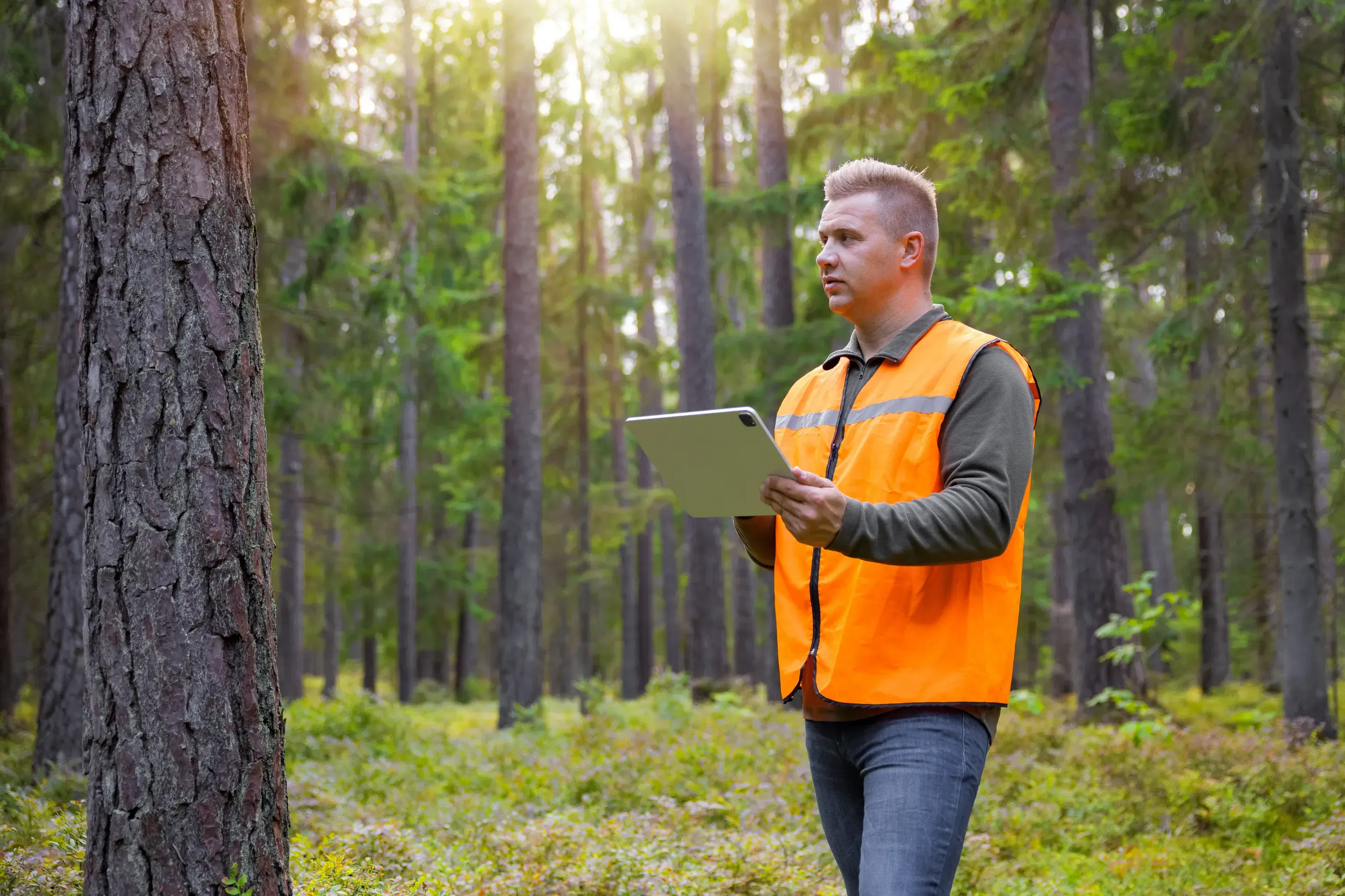 Forestry Worker Orange Vest 2