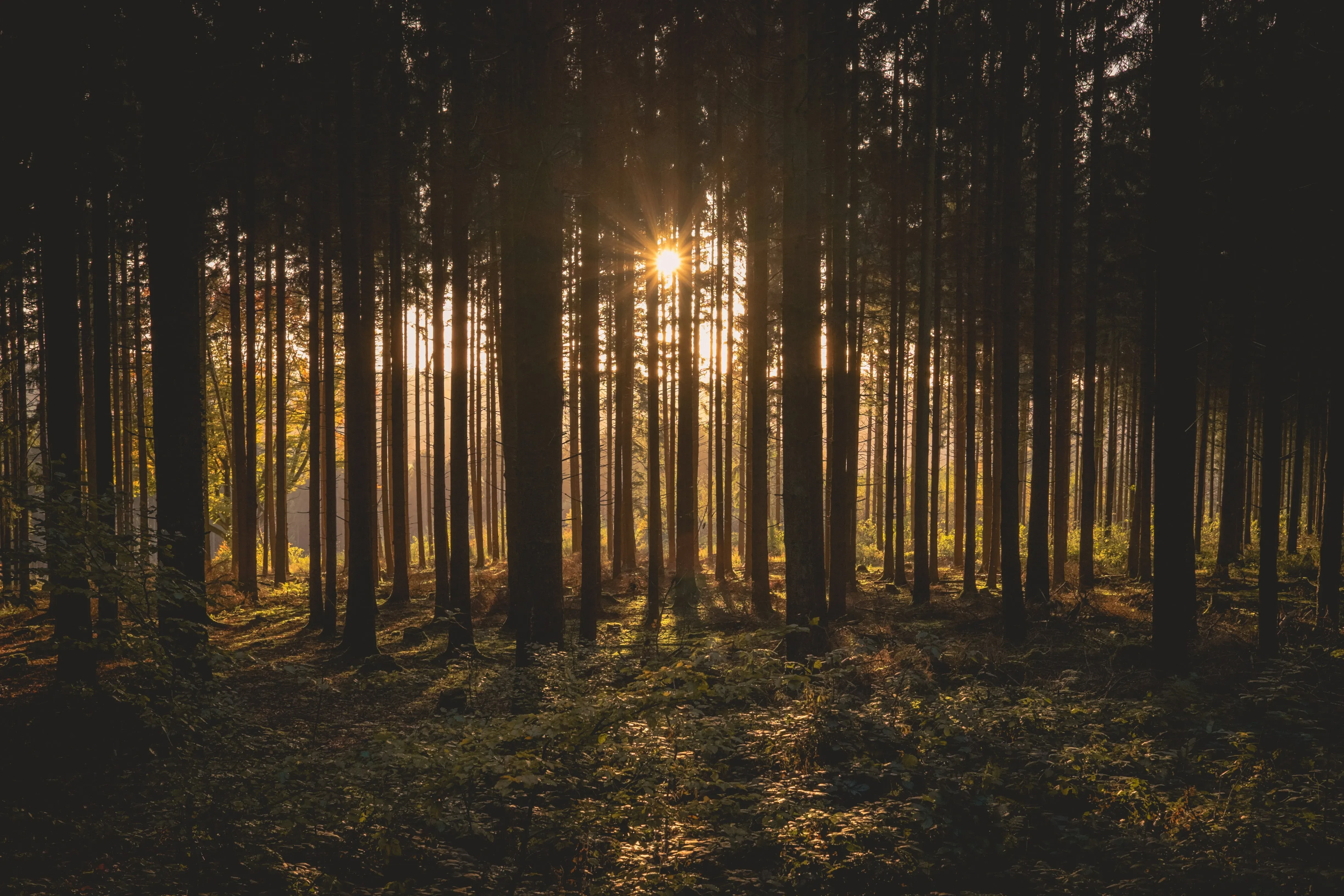 Daniel Peters 2tvko V K8prc Unsplash