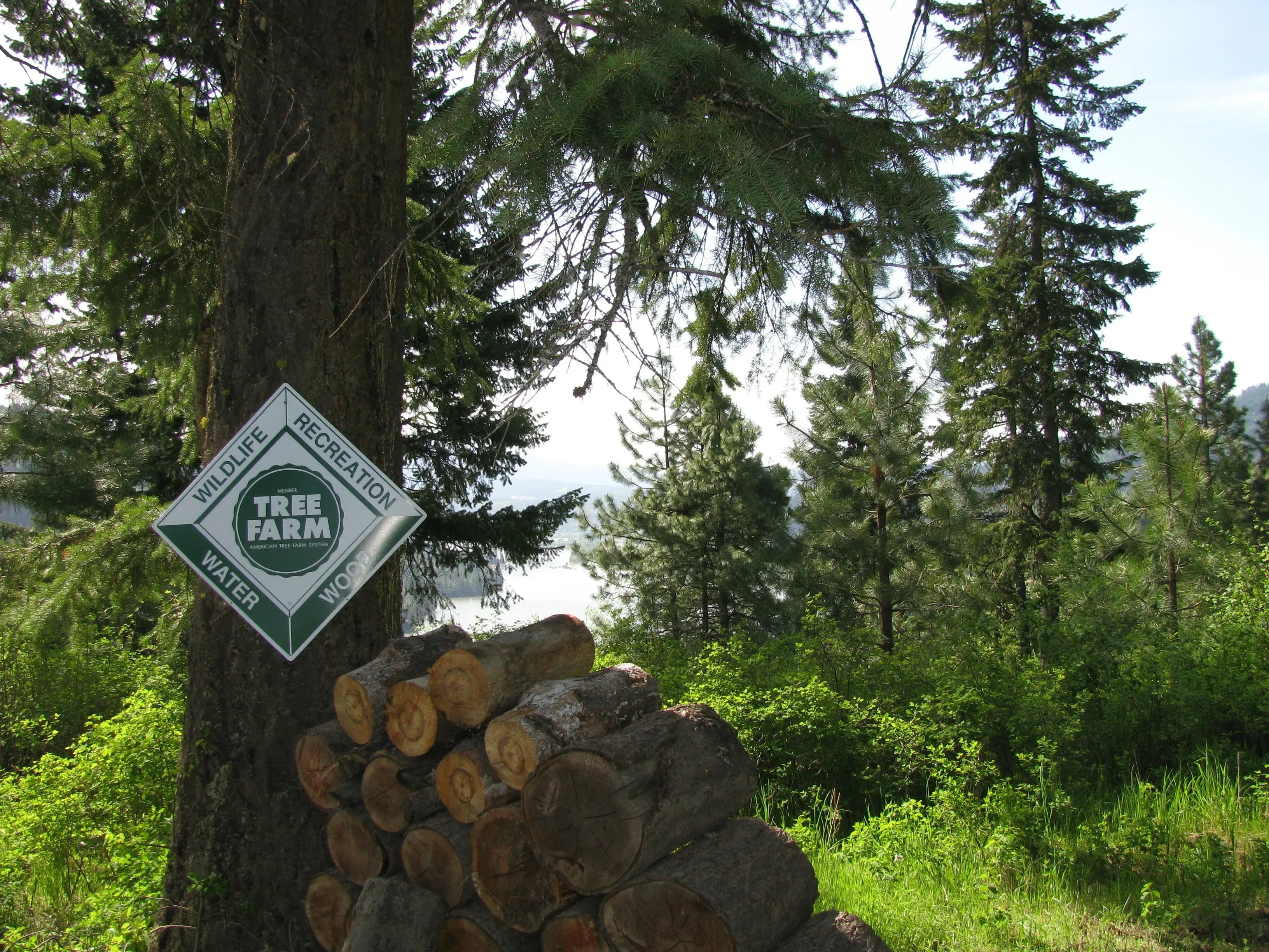 Sign With Firewood Horizontal
